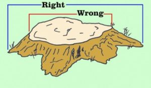 How to measure a stump to determine the cost of stump grinding