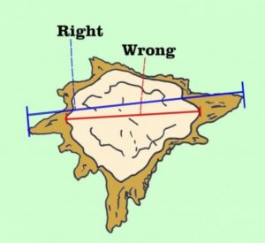 How to measure a stump to determine the cost of stump grinding